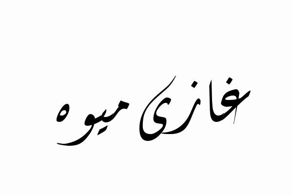 غازی میوہ